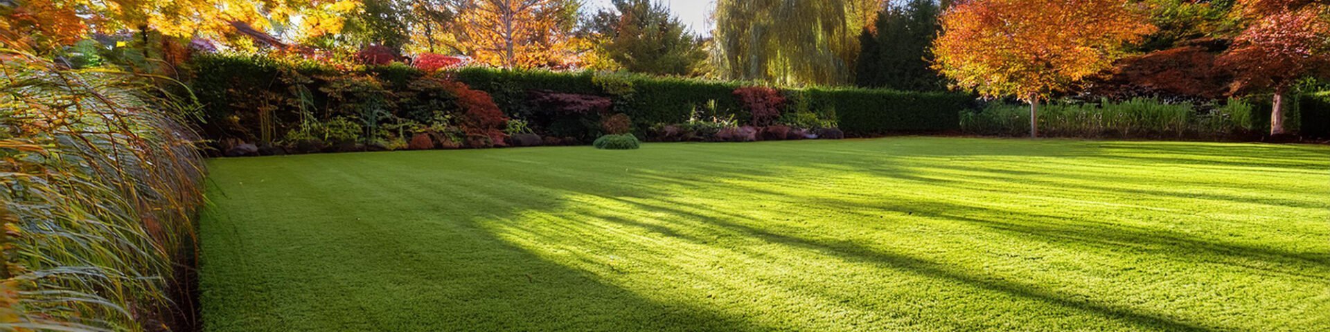 How Long Does Artificial Grass Last? - Artificial Grass Direct