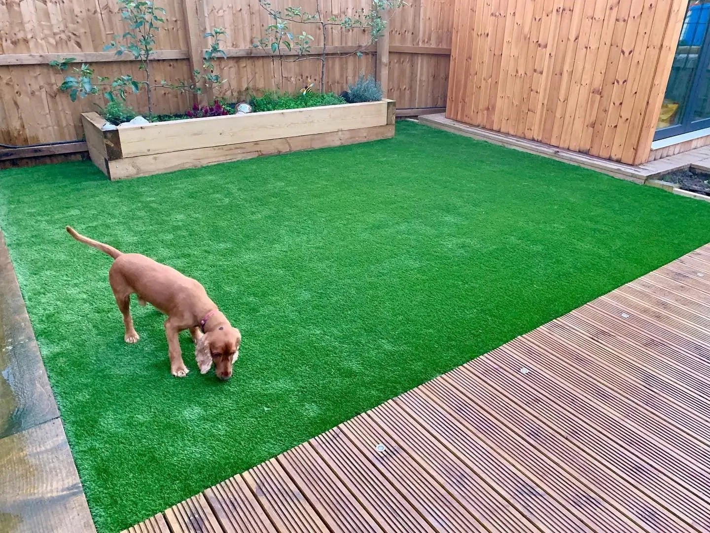 How To Prevent Artificial Grass From Smelling - Artificial Grass Direct