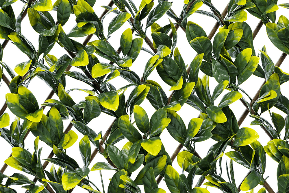 Laurel Willow Expandable Trellis Fence - 90cm x 180cm - Artificial Grass Direct