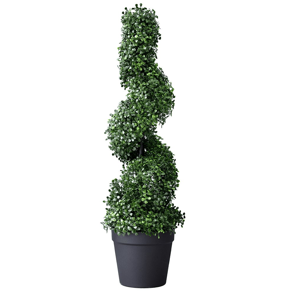 Boxwood Spiral Tree 85cm - Artificial Grass Direct