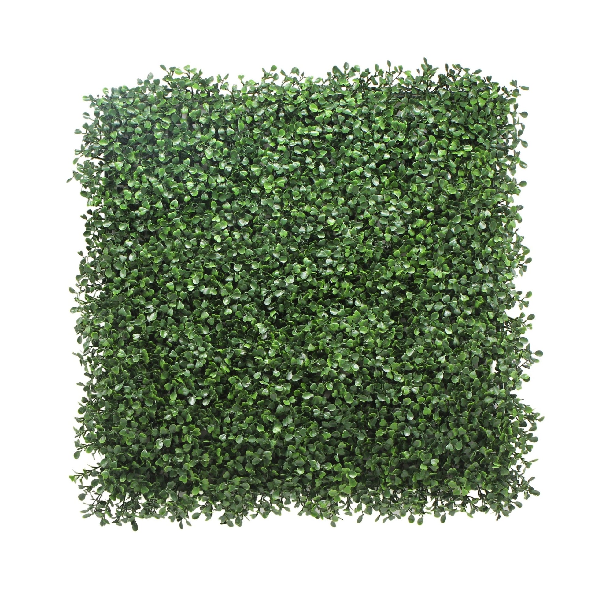 Boxwood Artificial Hedge - Artificial Grass Direct