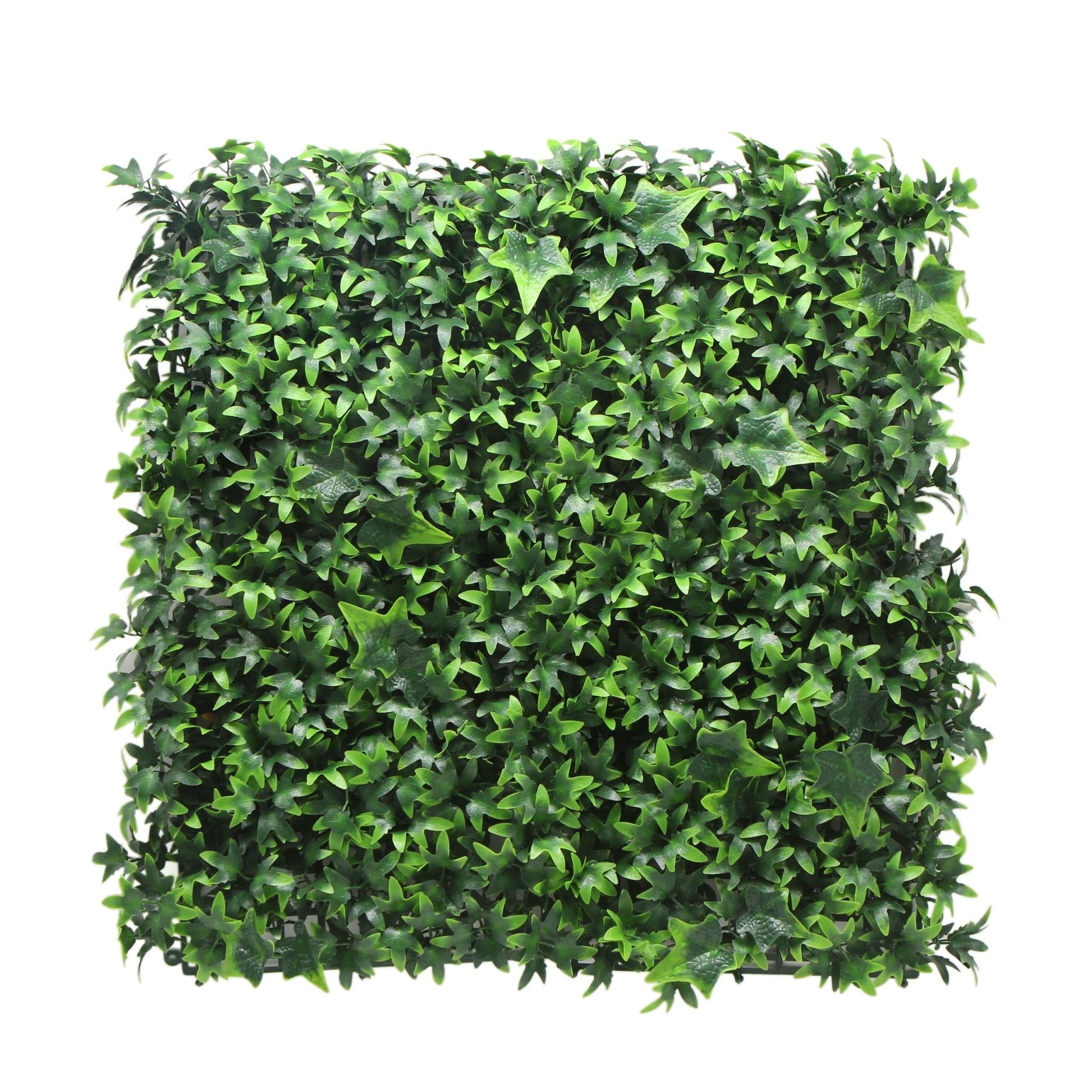 Artificial Ivy Hedge - Artificial Grass Direct