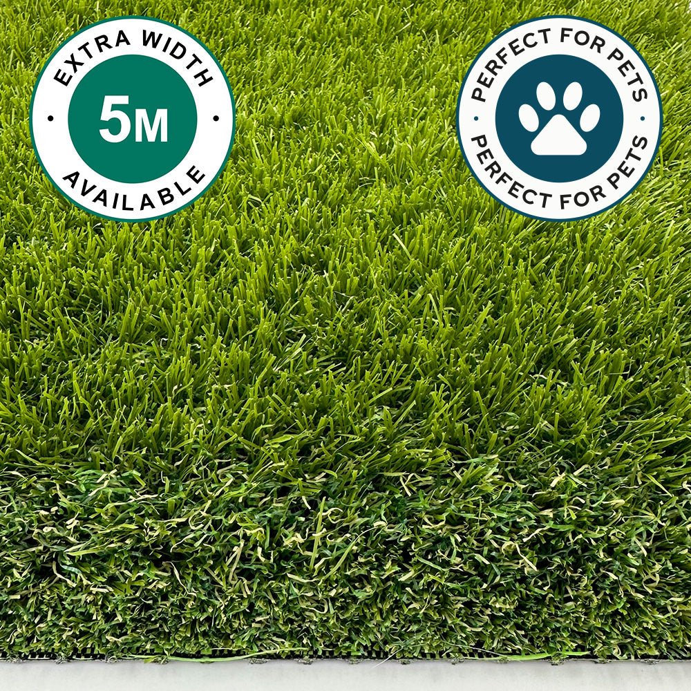 Pet Luxury 38mm Sample - Artificial Grass Direct