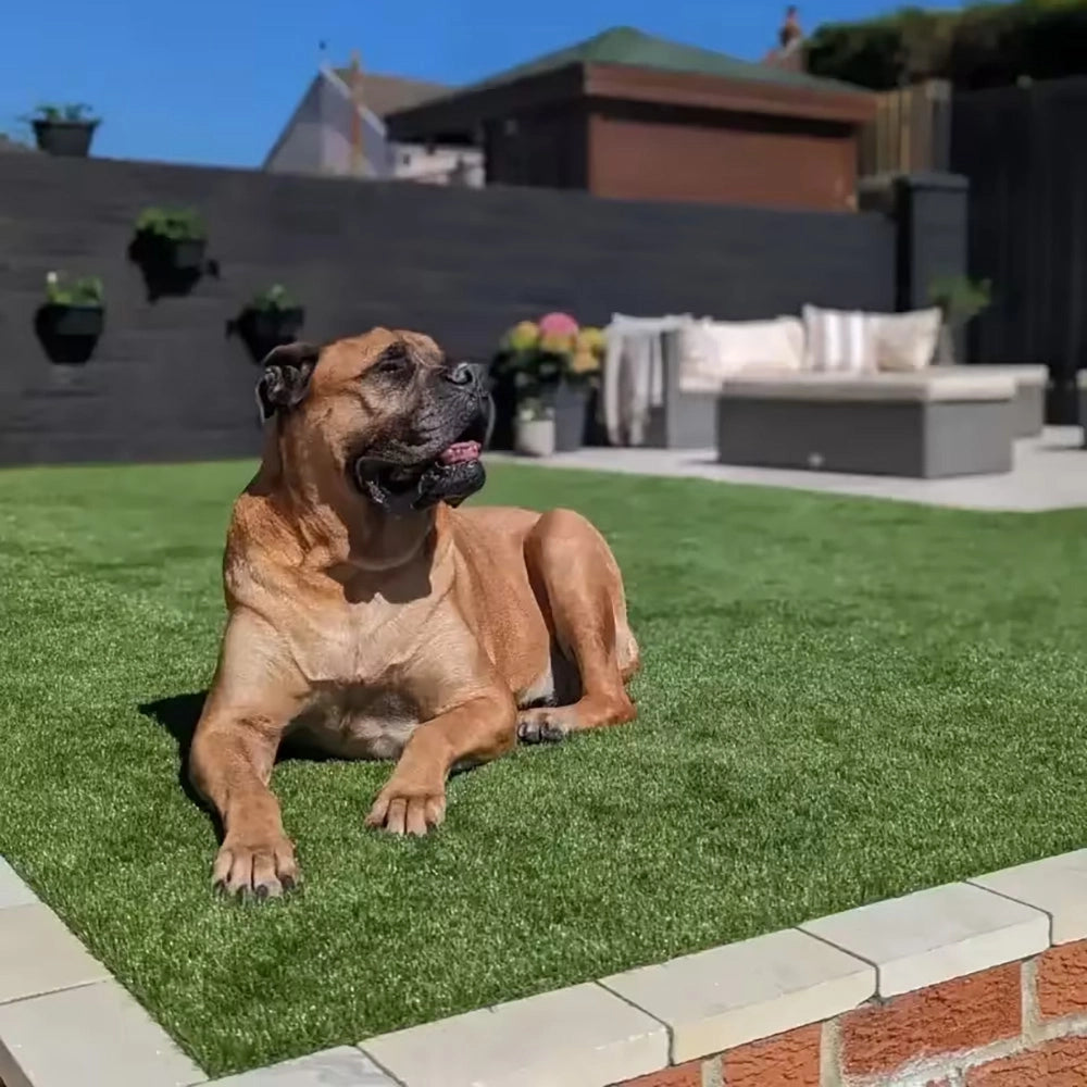 Artificial Grass Direct