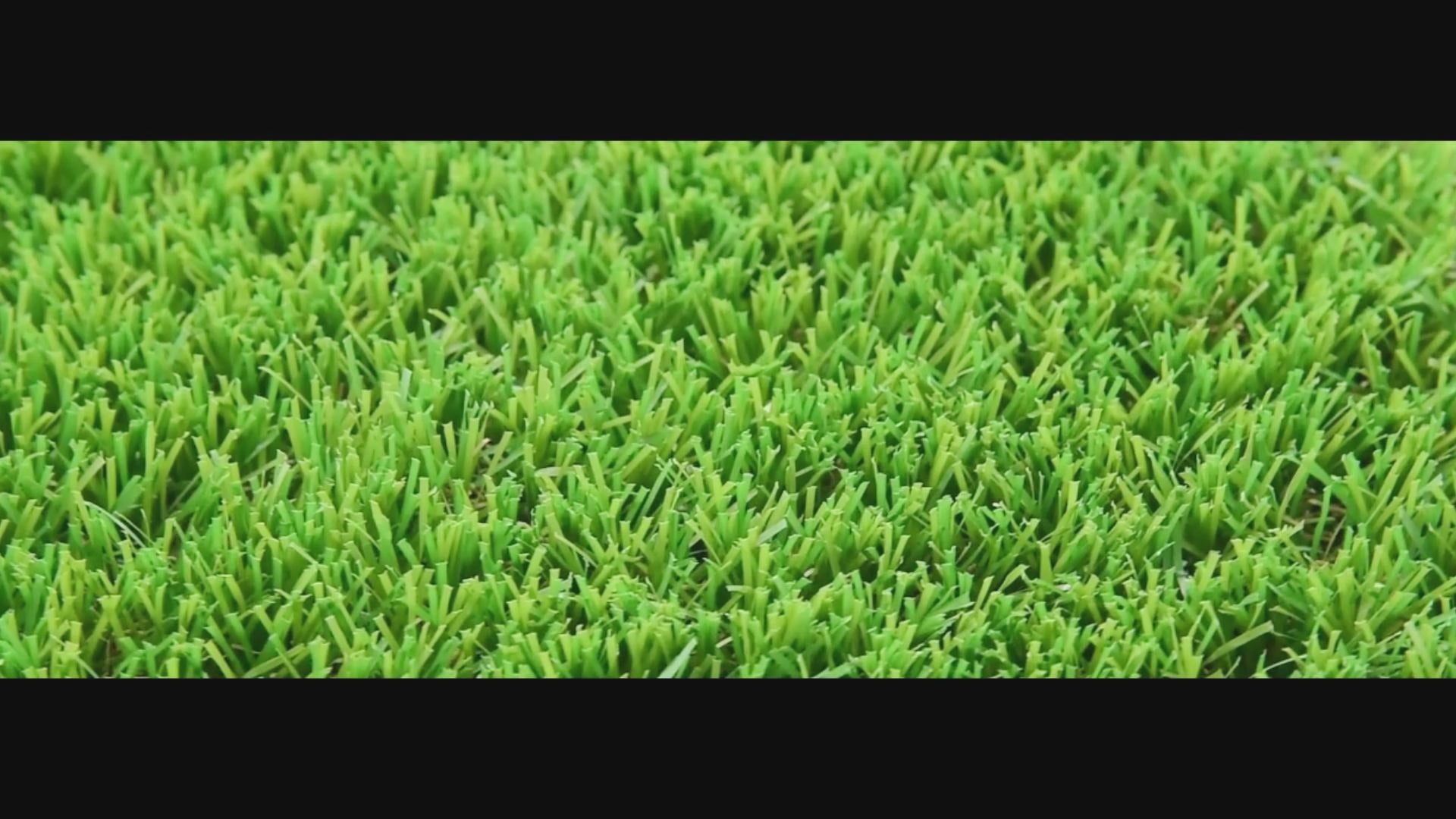 Load video: Luxury 40mm