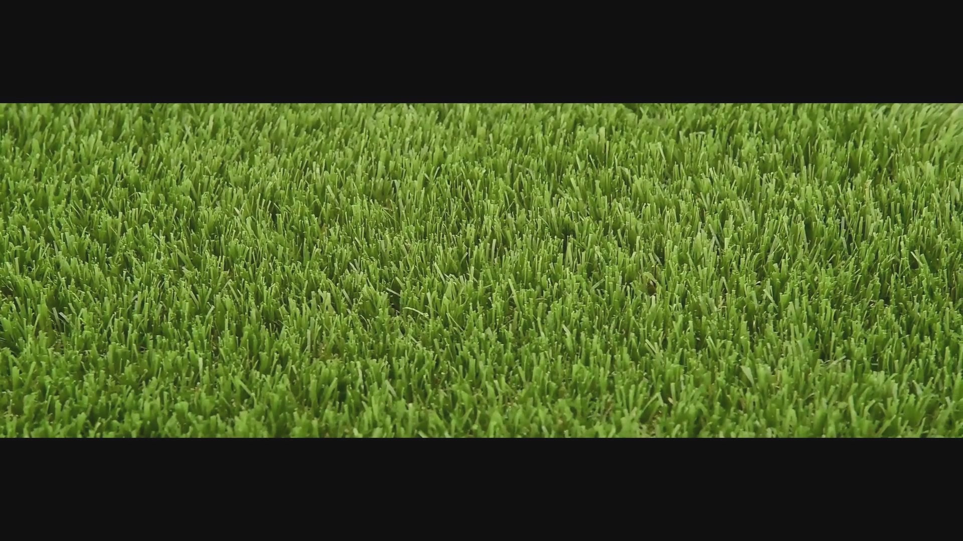 Load video: Pet Luxury 38mm