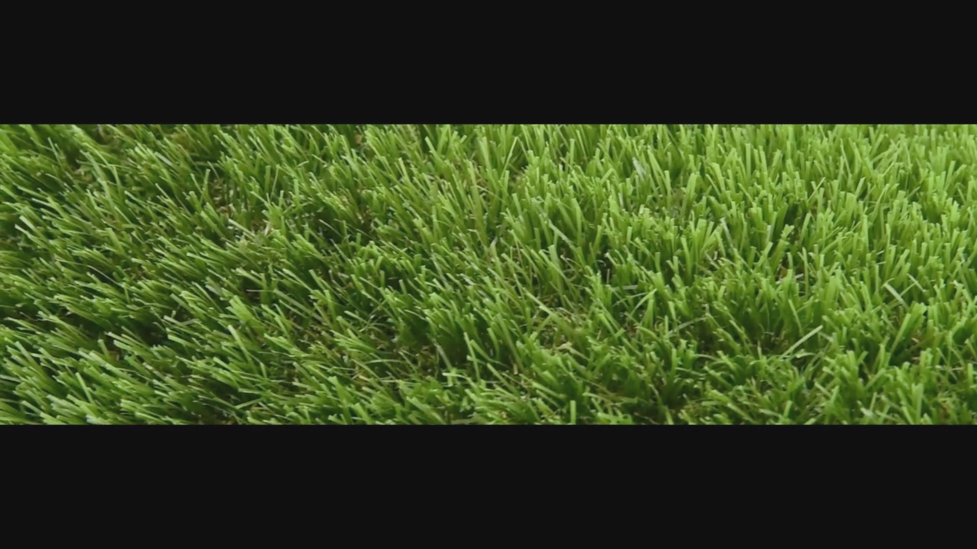 Load video: Supreme 50mm