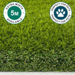 Pet Luxury 38mm Sample