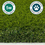 Pet Elite 50mm Sample