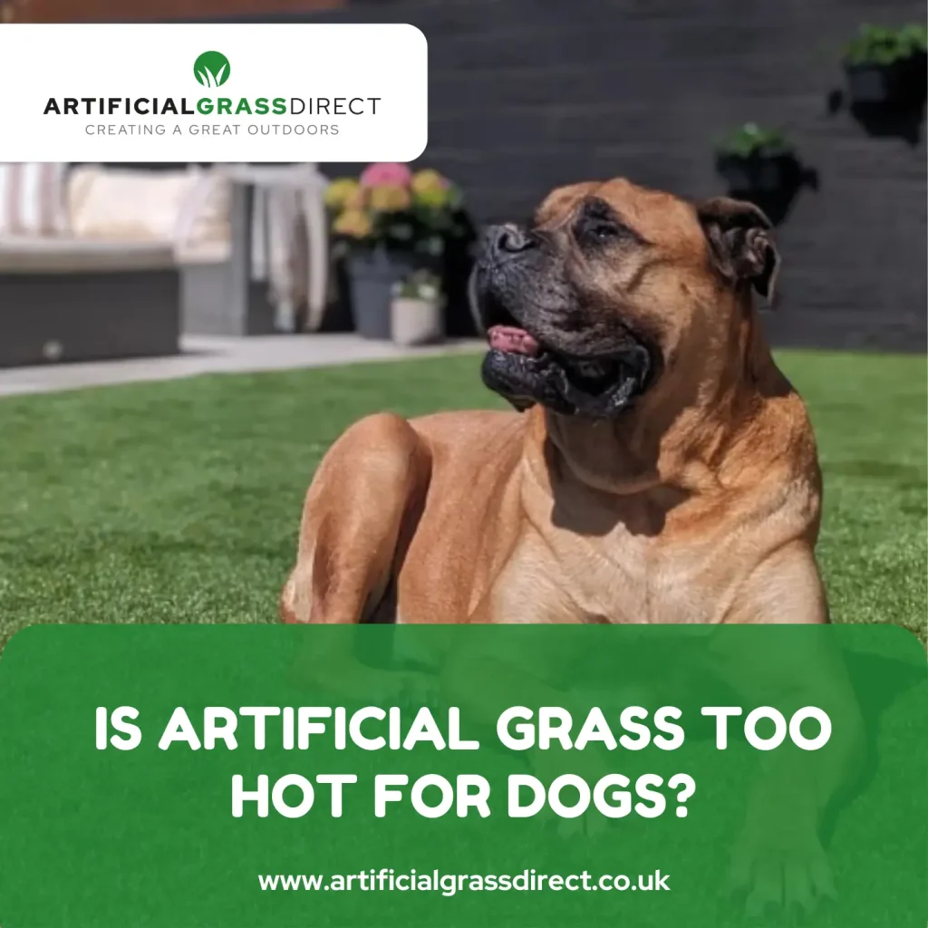 Is Artificial Grass too Hot for Dogs?