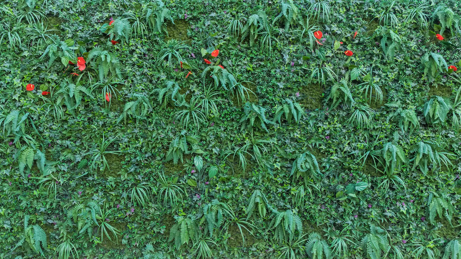 artificial grass living wall