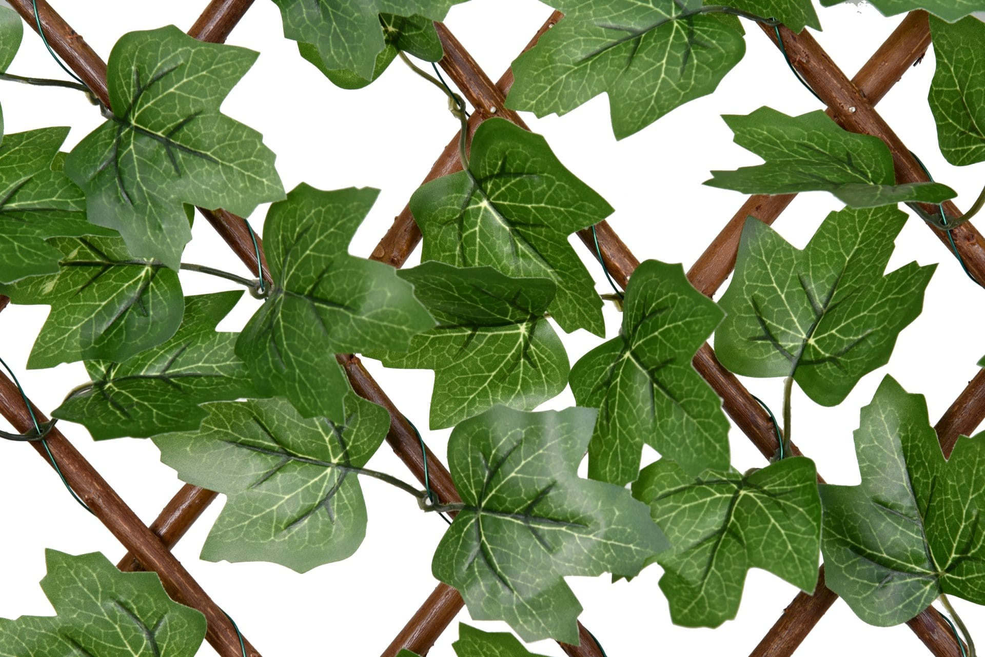 Boston Ivy Willow Expandable Trellis Fence – 90cm x 180cm