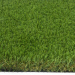 Pet Prime 40mm Sample
